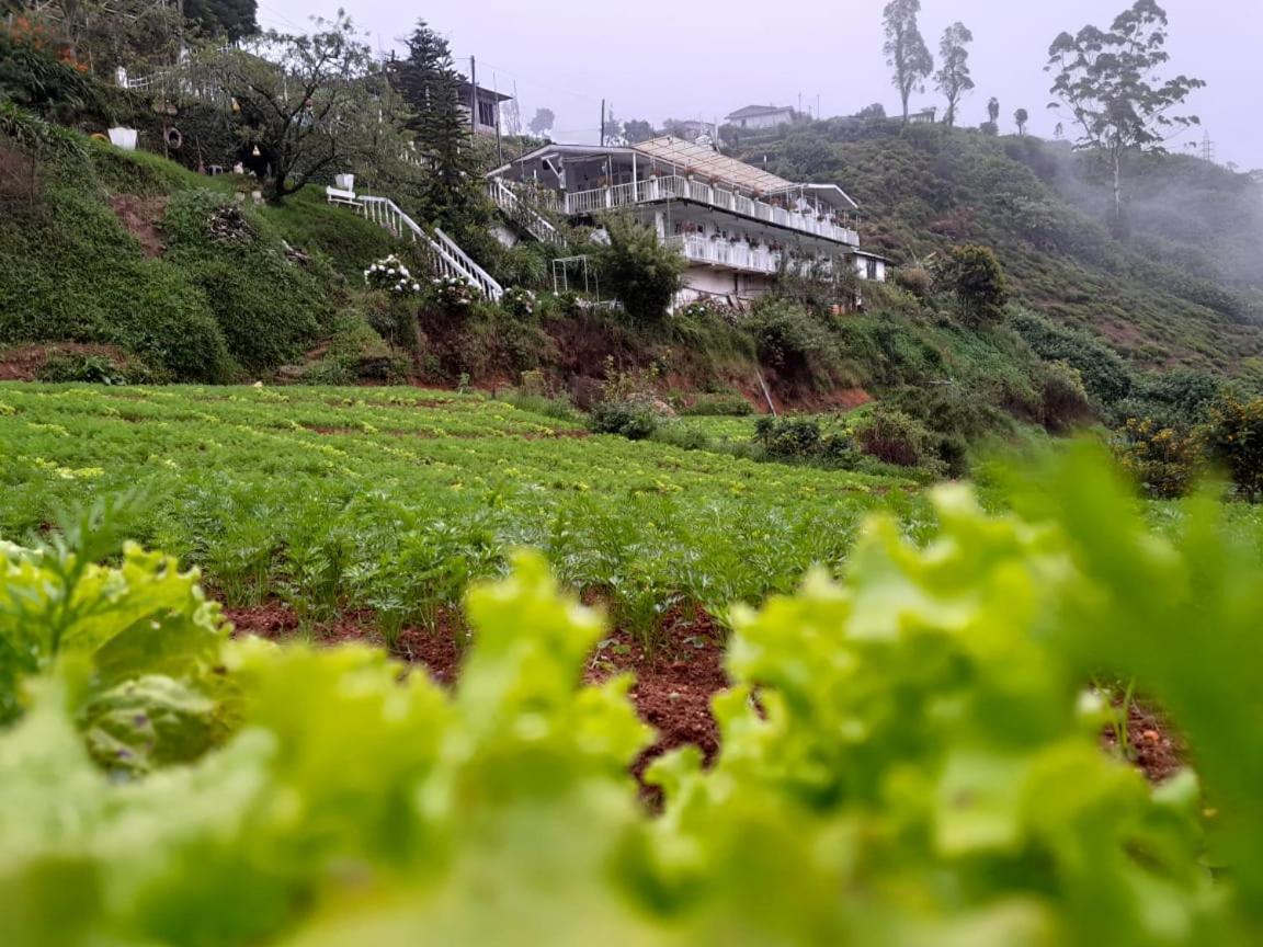 The Farm House Nuwaraeliya Nuwara Eliya Exterior foto