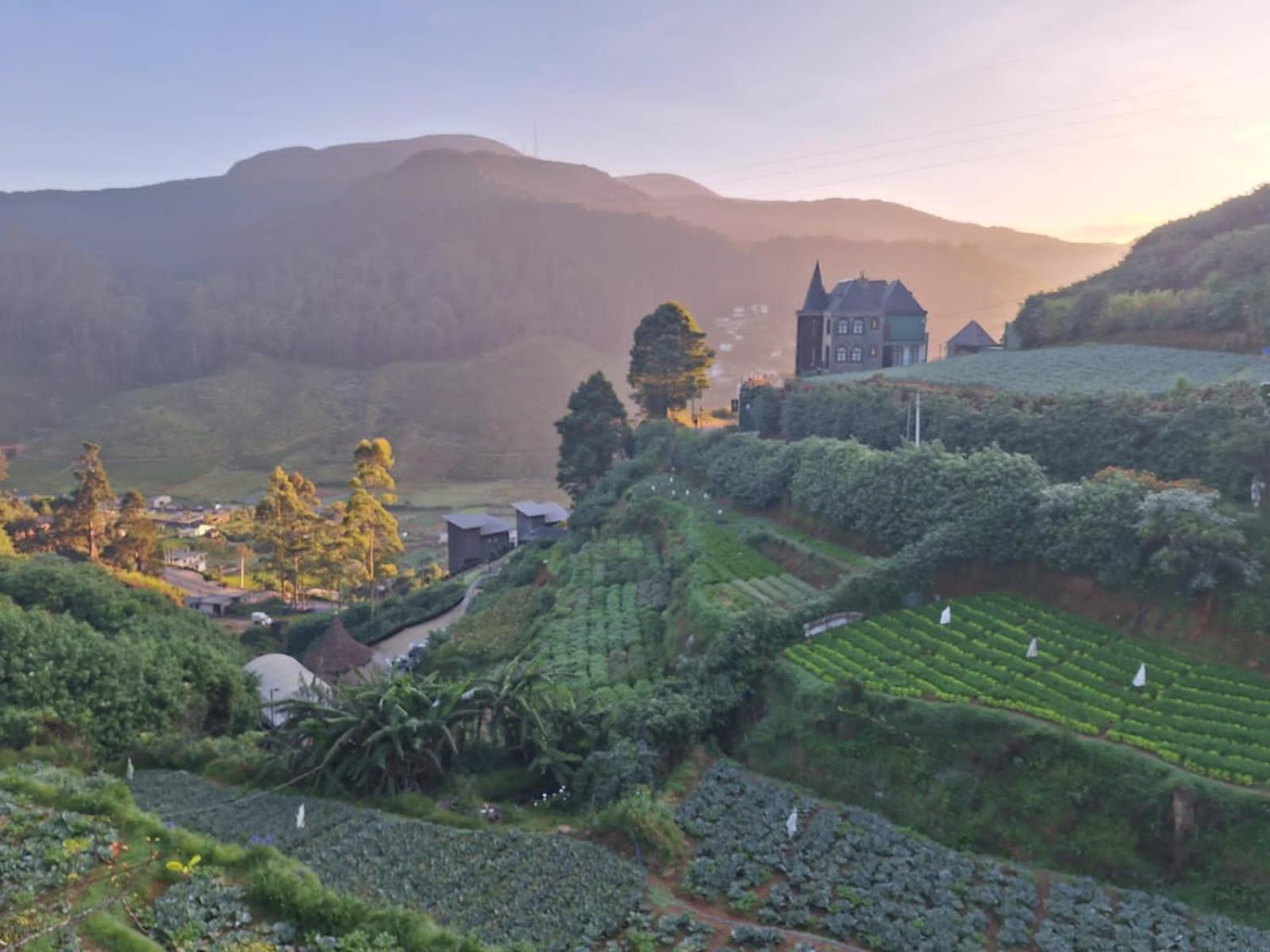 The Farm House Nuwaraeliya Nuwara Eliya Exterior foto
