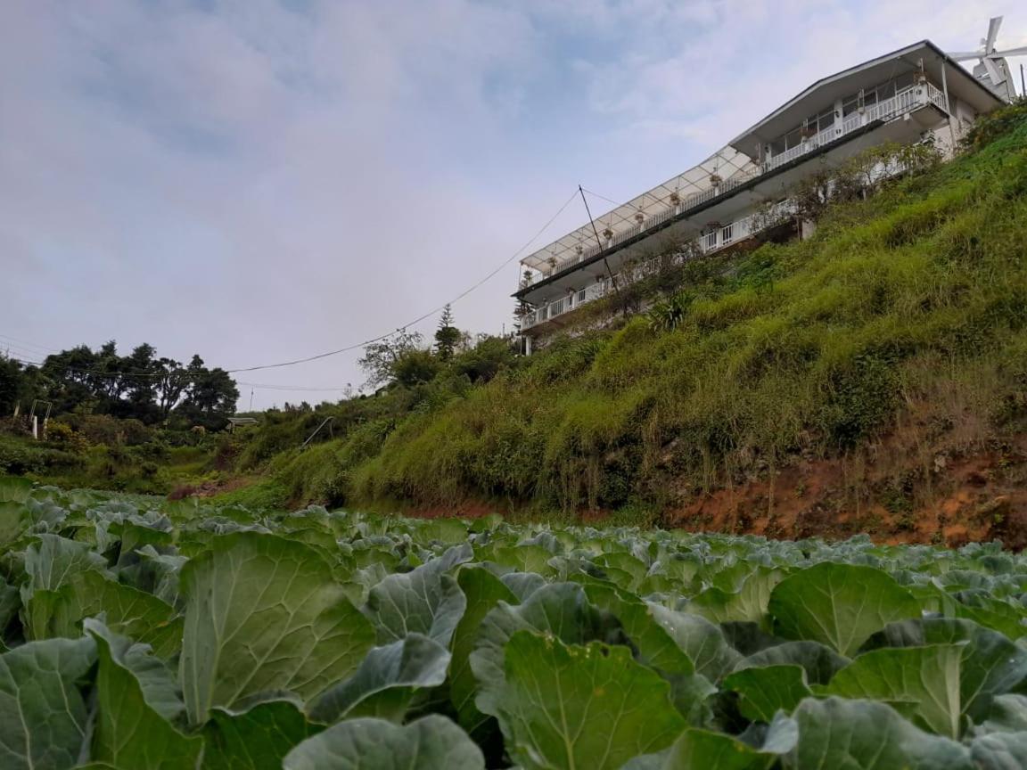 The Farm House Nuwaraeliya Nuwara Eliya Exterior foto